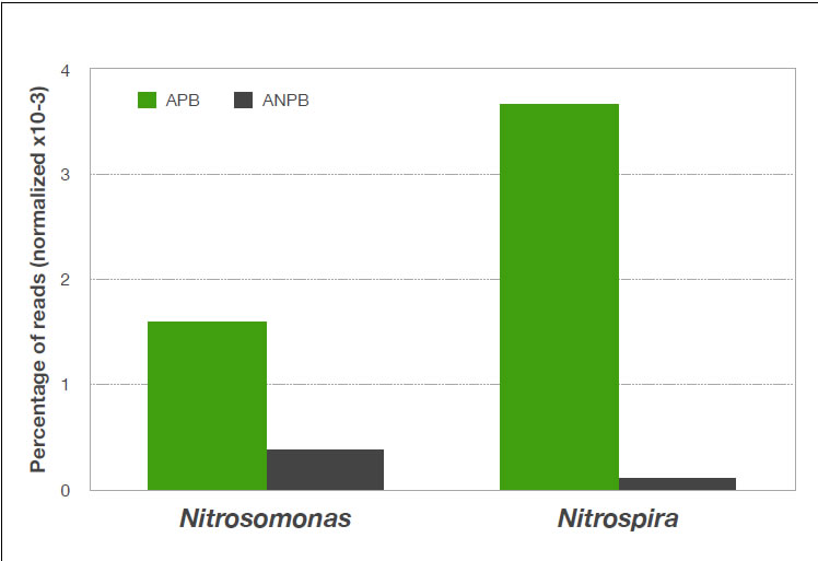 Aquaculture Biotechnology - AquaBioPonics Bioflocs - Visao_geral_das_especies_N_metabolizadoras